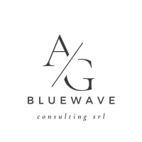 Bluewave Consulting Srl logo - Similar company to Holimeet