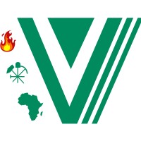 Vulcan Holdings Limited logo - Similar company to Insurge Solutions