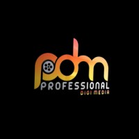 Professional Digi Media logo - Similar company to Digi Delight