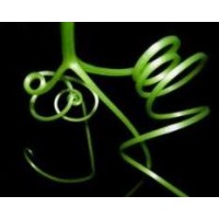 Biodiversity for a Livable Climate logo - Similar company to Nextchar Llc