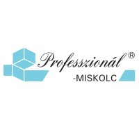 Professzionál-Miskolc Kft logo - Similar company to Electric Racing Miskolc