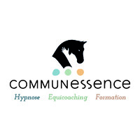 COMMUNESSENCE logo - Similar company to Drones Experts Network