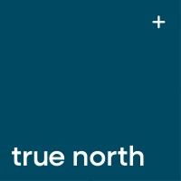 True North logo - Similar company to State Of Flow