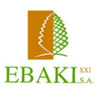 EBAKI XXI logo - Similar company to Ebaki Solutions