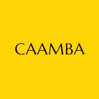 Coalition of Asian American MBAs (CAAMBA) logo - Similar company to South Asian Americans In Public Service