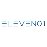 ELEVEN01 logo - Similar company to Datasisar