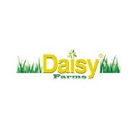 Daisy Farms - Texas