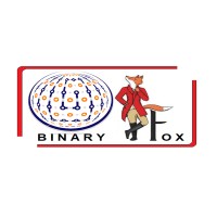 Binary Fox Services logo - Similar company to Aizove