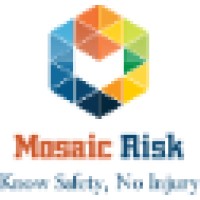 Mosaic Risk