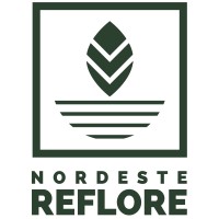 NORDESTE REFLORE logo - Similar company to Associação Caatinga