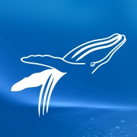 AMMO logo - Similar company to Marine Mammal Observer Association (Mmoa)
