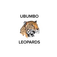 UBUMBO Leopards Rugby Youth Academy logo - Similar company to Push Local Ventures
