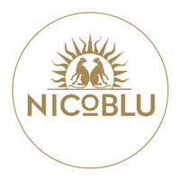 NICOBLU logo - Similar company to Ivision Mobile