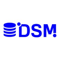 DSM IT PVT LTD logo - Similar company to Dsoft