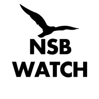 NSB Watch logo - Similar company to Glarearmani