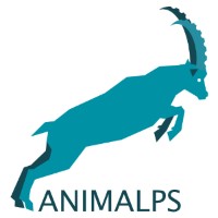 ANIMALPS PRODUCTIONS logo - Similar company to Luchafilms