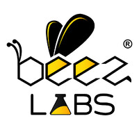 BeezLabs logo - Similar company to Cloudbuilders Inc