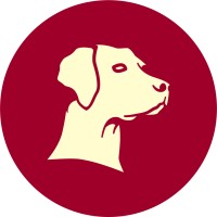 Red Dog Productions logo - Similar company to Pg Entertainment