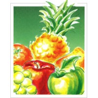 Anton Dürbeck GmbH logo - Similar company to Frutasol Chile