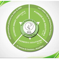 Pioneer E Solutions Pvt. Ltd. logo - Similar company to Pioneer Solutions