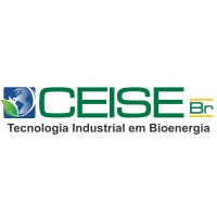 CEISE Br logo - Similar company to Icompany - Tecnologia Da Informação
