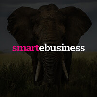 smartebusiness - Ecommerce Growth Specialists logo - Similar company to Magendoo Interactive