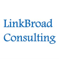 LinkBroad Consulting logo - Similar company to Linkbroad Technology