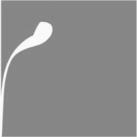 studio moaser logo - Similar company to Mycelium Financial Systems