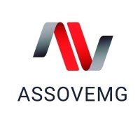 Assovemg - Associação dos Revendedores de Veículos de MG logo - Similar company to Vemig