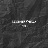BusinessNexa Pro logo - Similar company to Autonexa Solutions