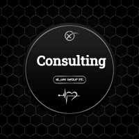 Blaze Group Inc. logo - Similar company to Dk Indeklima