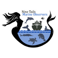 Nine Tails Marine Observers logo - Similar company to East West Technical Services