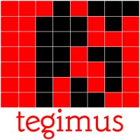 Tegimus Infotech logo - Similar company to Riss Technologies Llc