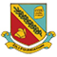 DLI Foundation - DLIF