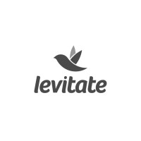 Levitate Tech, Inc. logo - Similar company to Vedic Roots