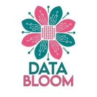 Data Bloom logo - Similar company to Databloom