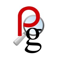 Pailin Group Professional Search Consultants logo - Similar company to Foremost Consulting Llc