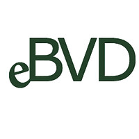 eBVD i Norden logo - Similar company to Srtechniek B.V.