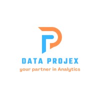 DATA PROJEX logo - Similar company to Integral Controls Ltd
