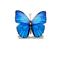 Butterfly Embroidery Ltd logo - Similar company to Herts Embroidery