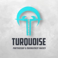 TURQUOISE PARTNERSHIP & MANAGEMENT AGENCY logo - Similar company to Sopro De Carinho