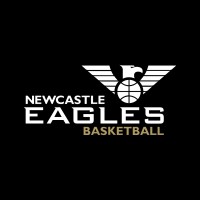 Newcastle Eagles logo - Similar company to B7