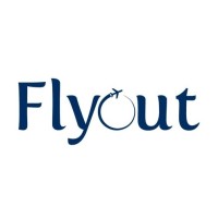 Flyout logo - Similar company to Anv Soft Solutions Pvt Ltd