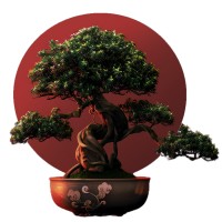 Bonsai Global, LLC logo - Similar company to Alpine Software Corporation