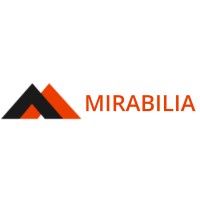 Mirabilia Nigeria Limited logo - Similar company to Surveyplus