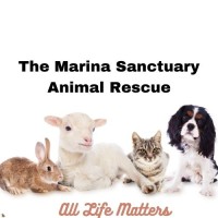 Marina Sanctuary Animal Rescue logo - Similar company to Deathrow Unchained Animal Rescue