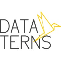 Data Terns logo - Similar company to Fields Data