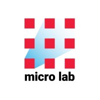 Micro Lab Engineering Club logo - Similar company to Lislex