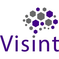 Visint logo - Similar company to Inchrist
