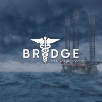 Bridge Medical Group N.V. logo - Similar company to Intersections.Nu